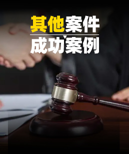 其他案例