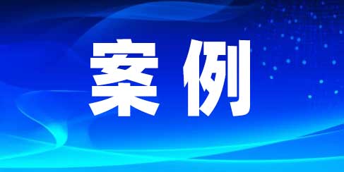 胜诉案例-谢某某机动车交通事故责任纠纷